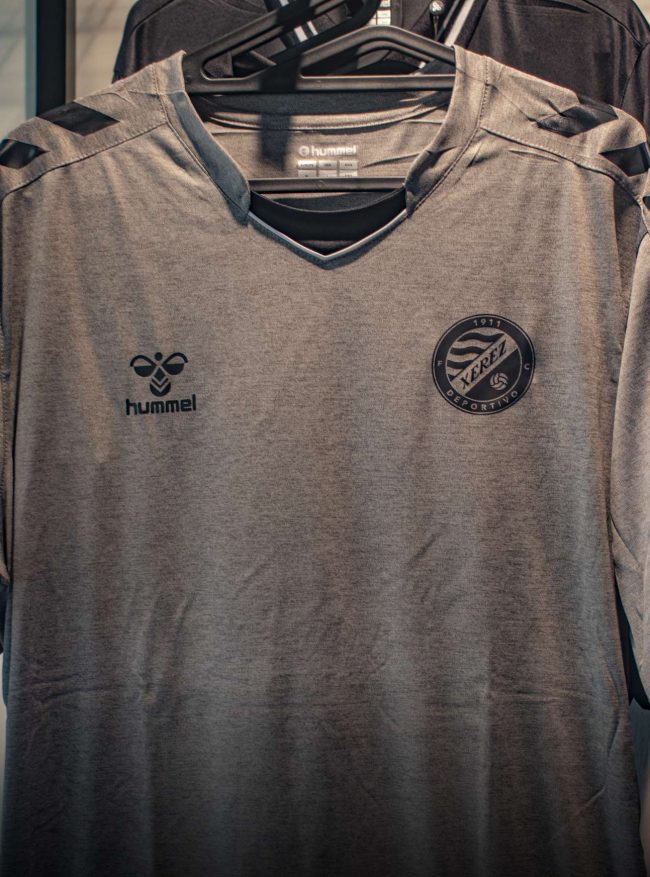 Camiseta entreno gris